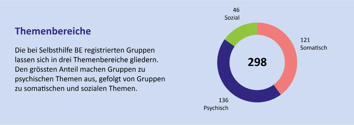 Infografik: Themenbereiche der Selbsthilfegruppen (136 Gruppen zu psychischen, 121 zu somatischen und 46 zu sozialen Themen).