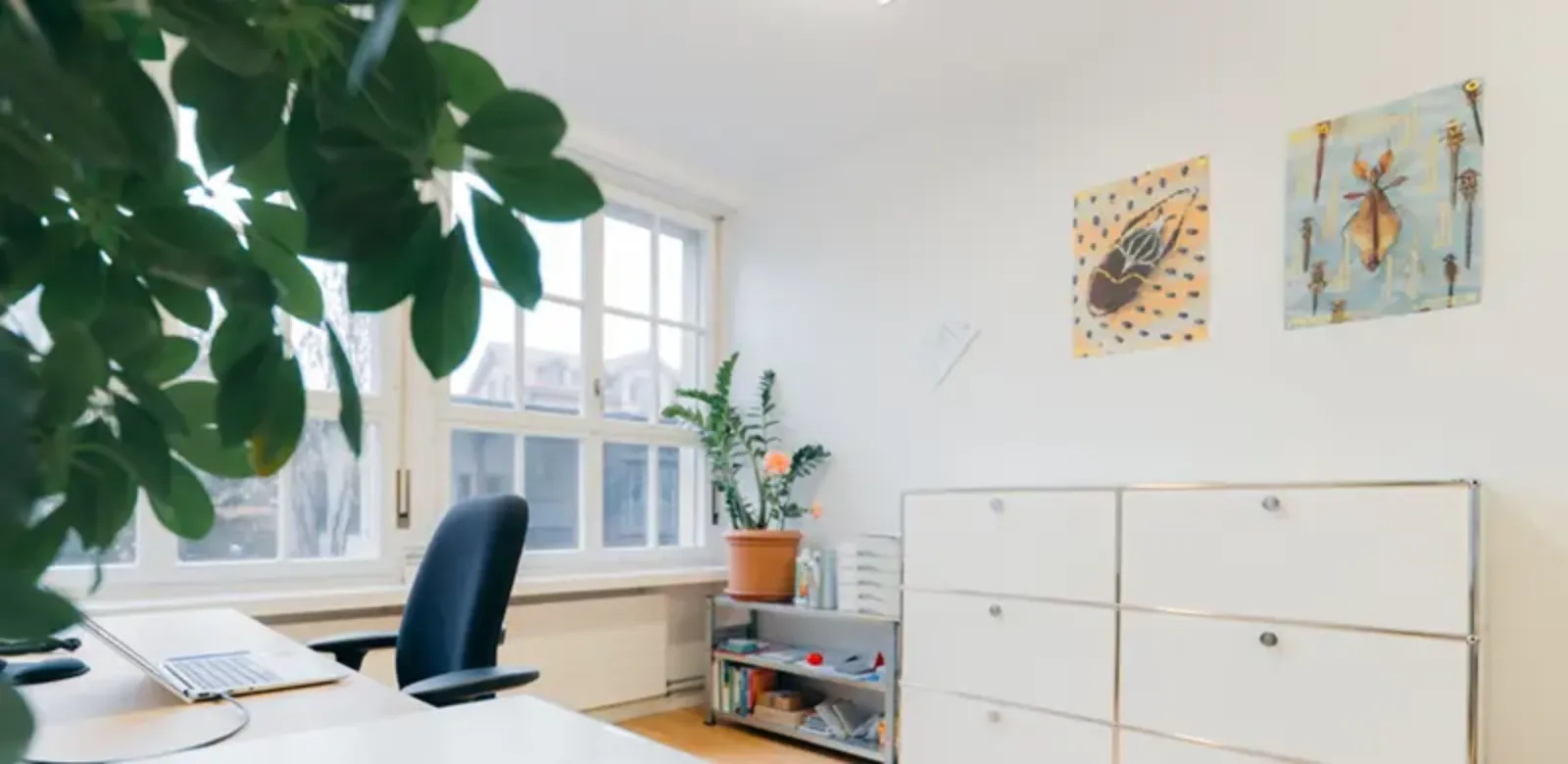 Moderner Büroraum mit Schreibtisch, Bürostuhl, Pflanzen, Regalen und zwei abstrakten Bildern an der Wand.